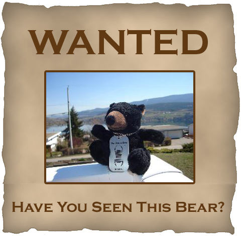 missing-in-action
